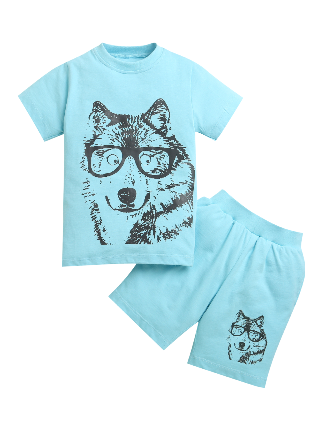 Pure Cotton Sky Blue Dog Print Co-ord Set