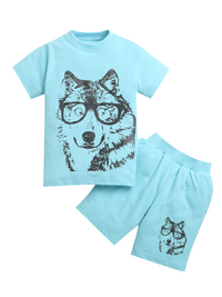 Pure Cotton Sky Blue Dog Print Co-ord Set