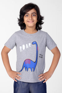 Grey Roar Dino Print Half Sleeve Boys T-shirts