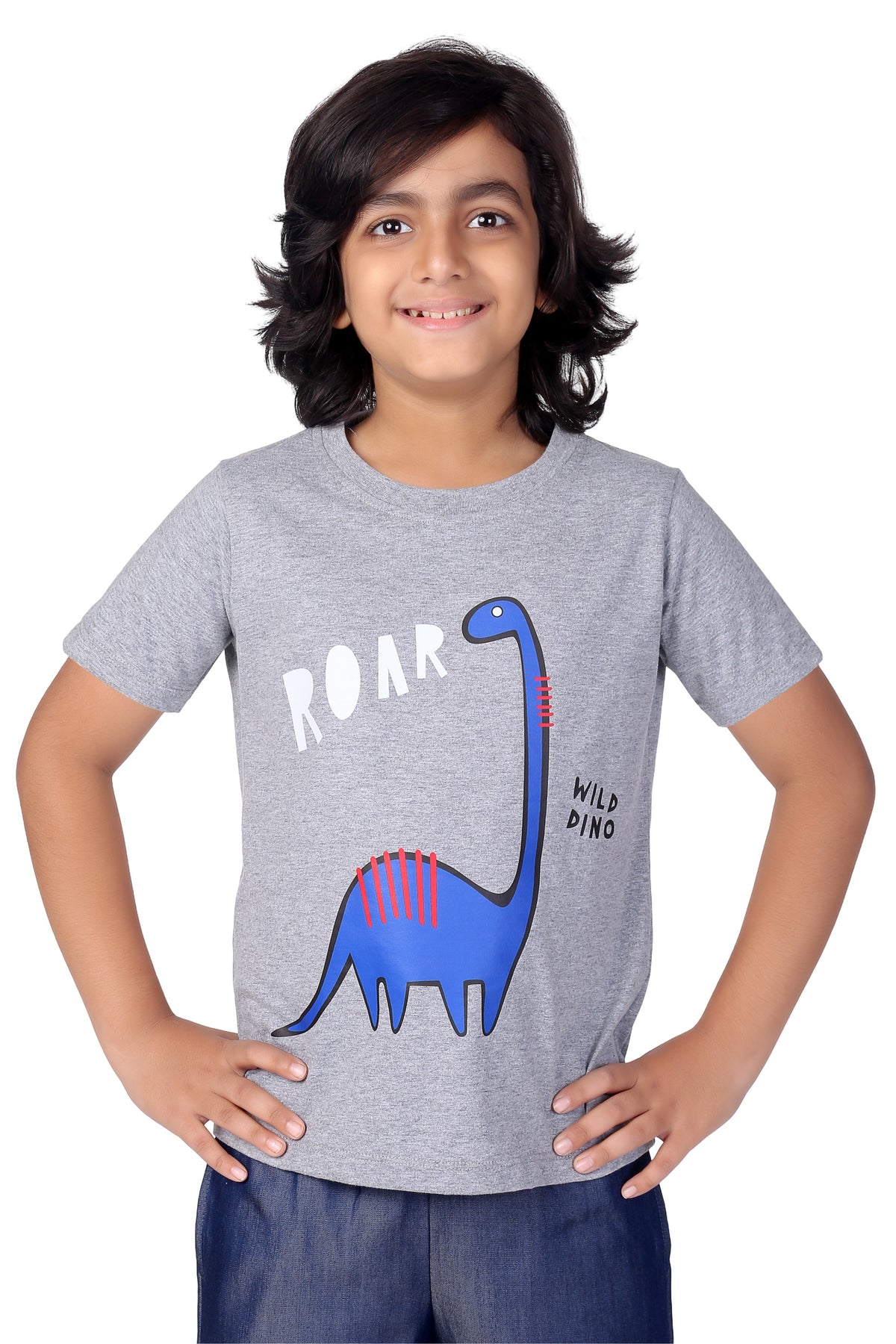 Grey Roar Dino Print Half Sleeve Boys T-shirts