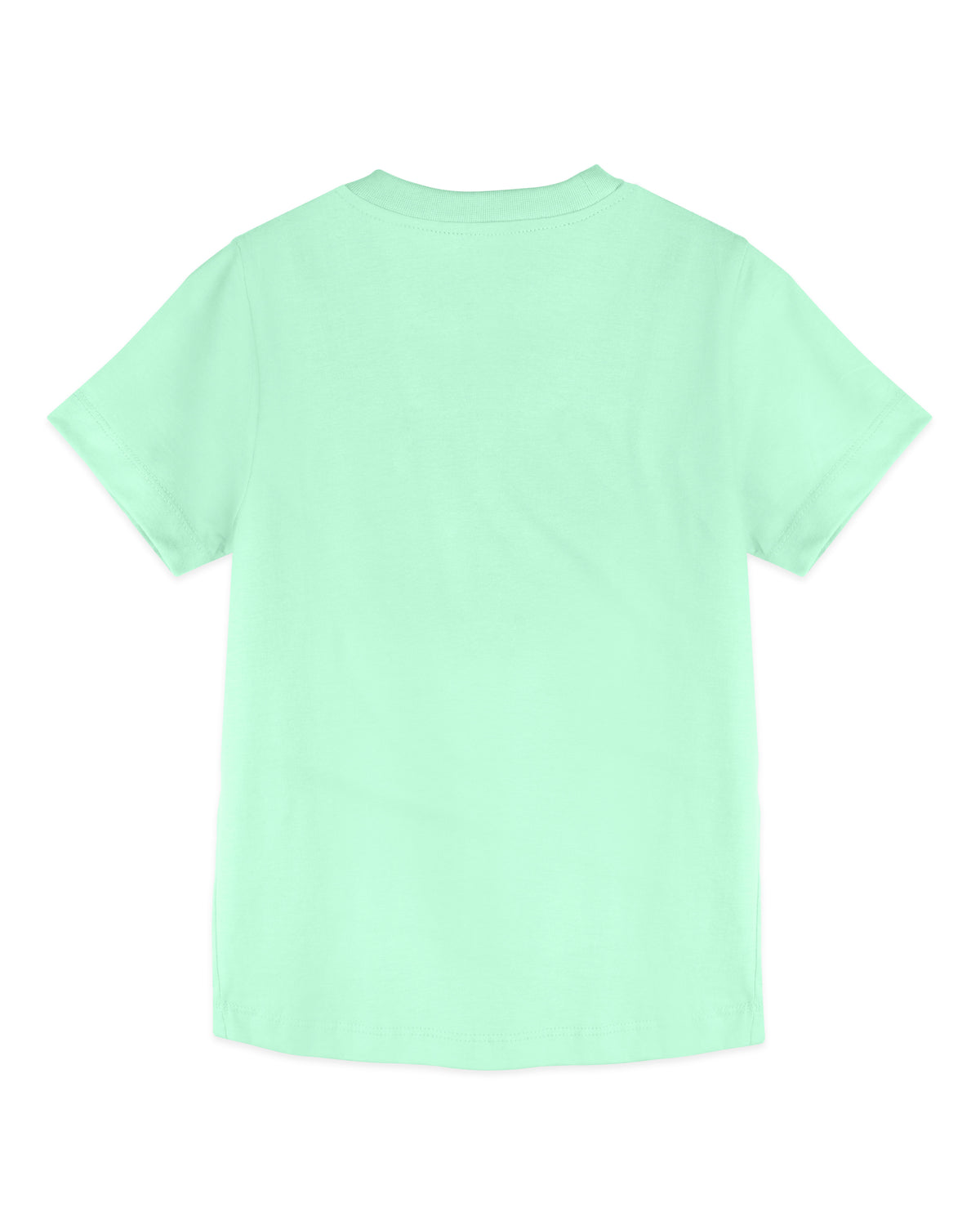 Light Green Tiger Print Half Sleeve Boys T-Shirt